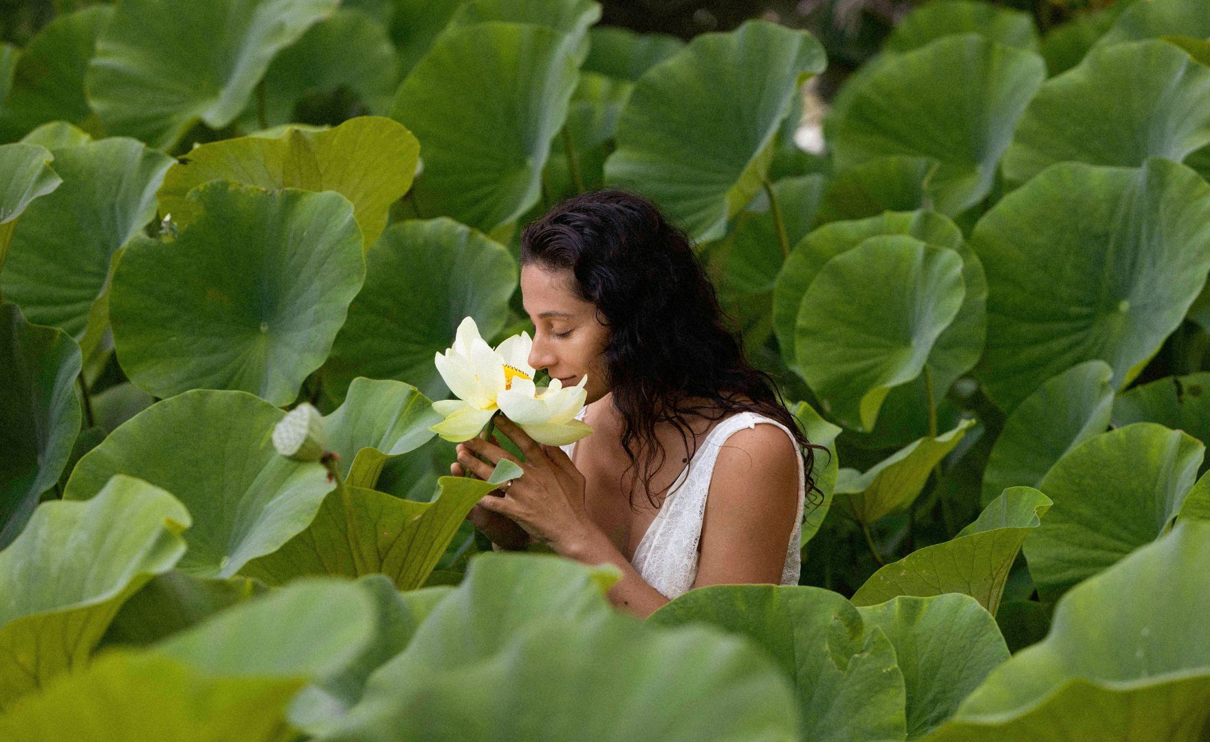blue lotus pond, white lotus, women smelling white lotus
