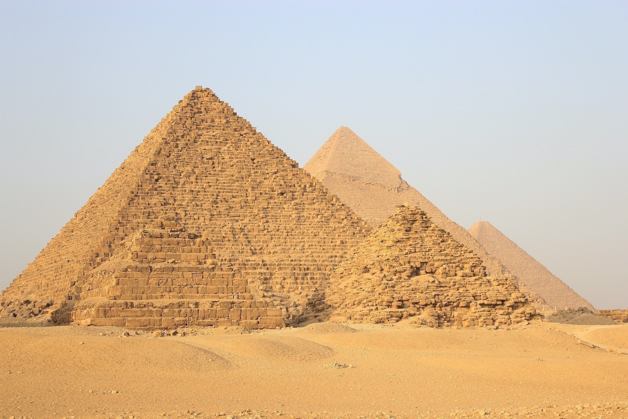 Blue Lotus Wine in Ancient Egypt