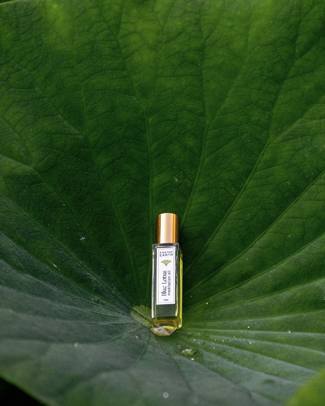 Organic Blue Lotus essential oil blend – natural support for mindfulness and sleep