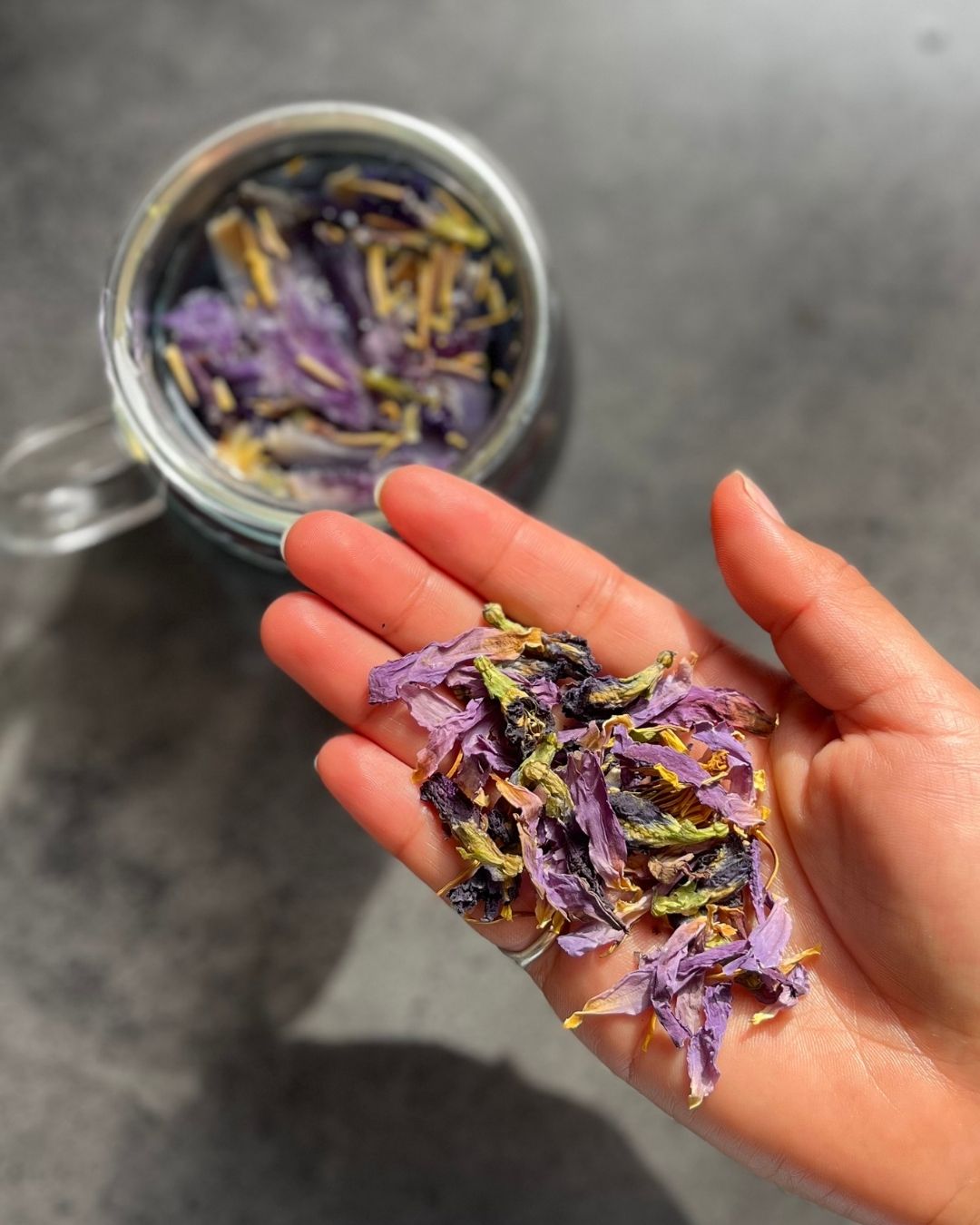 Blue Lotus & Butterfly Pea