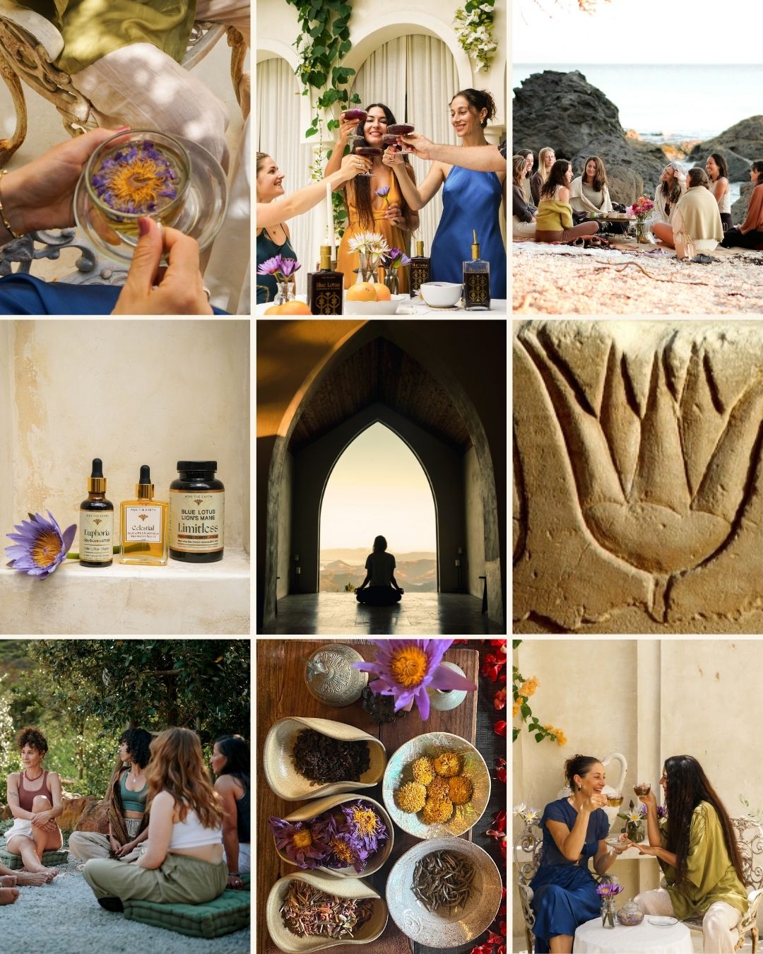 The Blue Lotus Experience Retreat