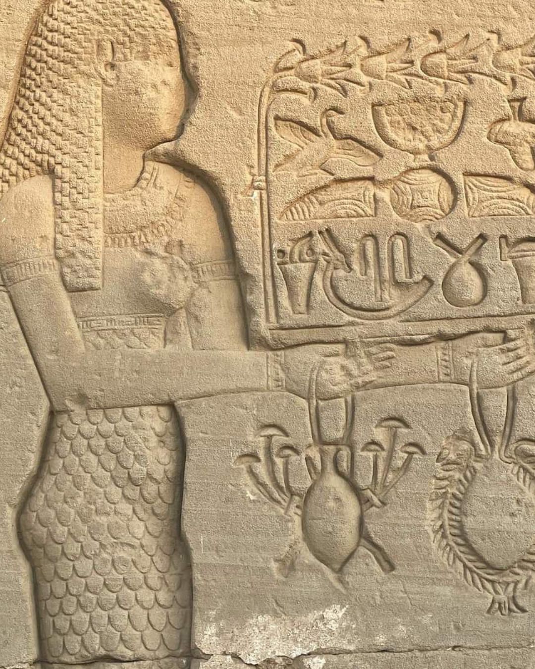 hieroglyph of mushrooms and Blue Lotus used together in ancient Egypt