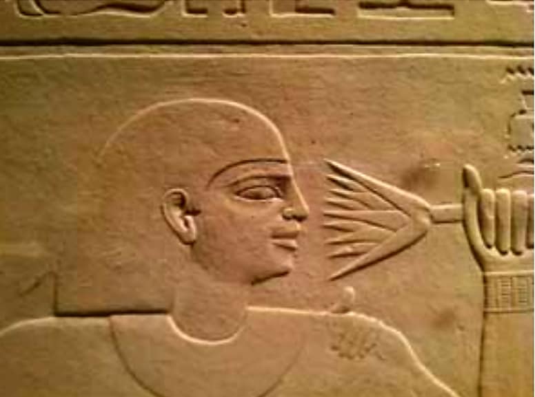Ancient Egyptian hieroglyph holding smelling a blue lotus flower 