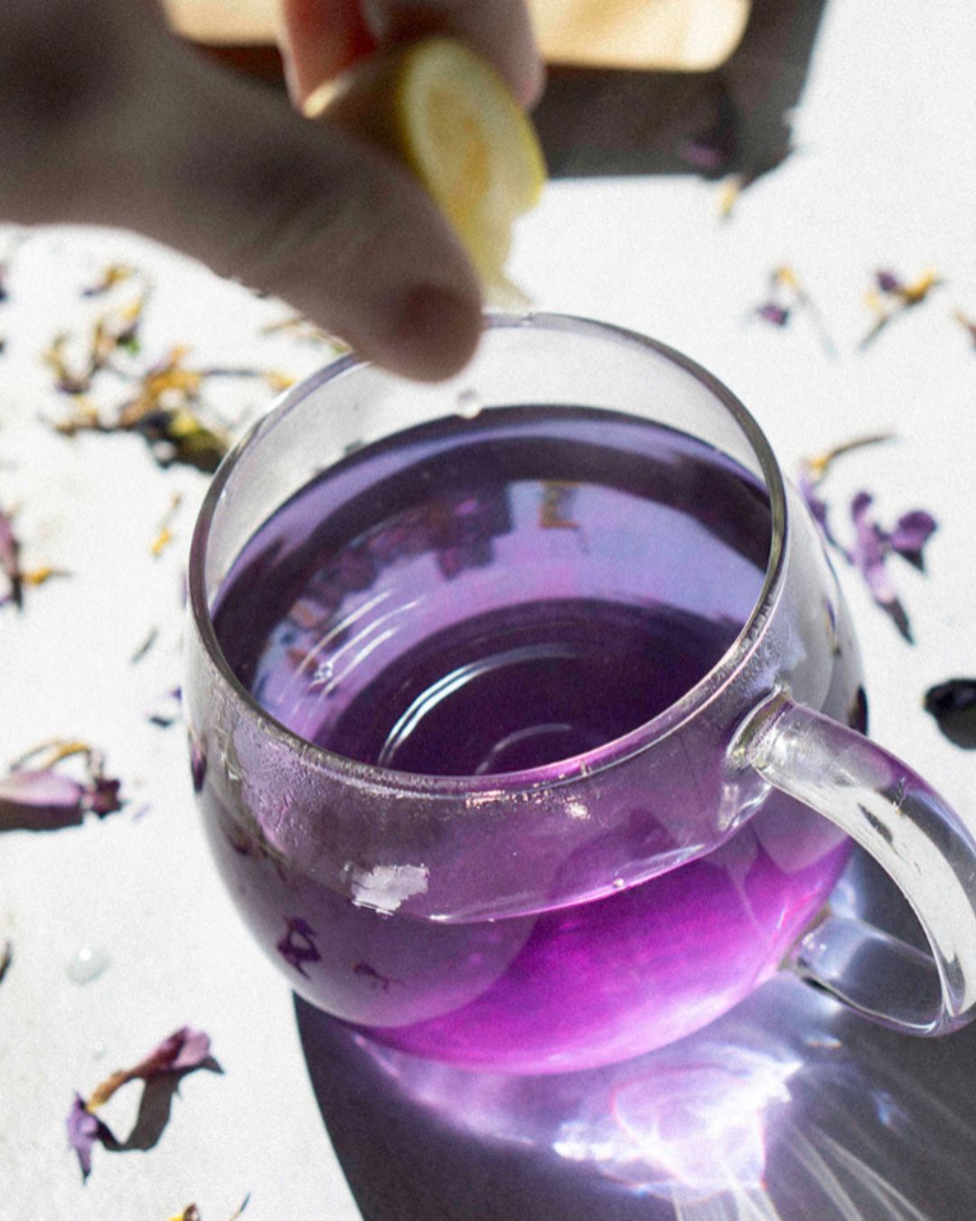 Blue Lotus & Butterfly Pea
