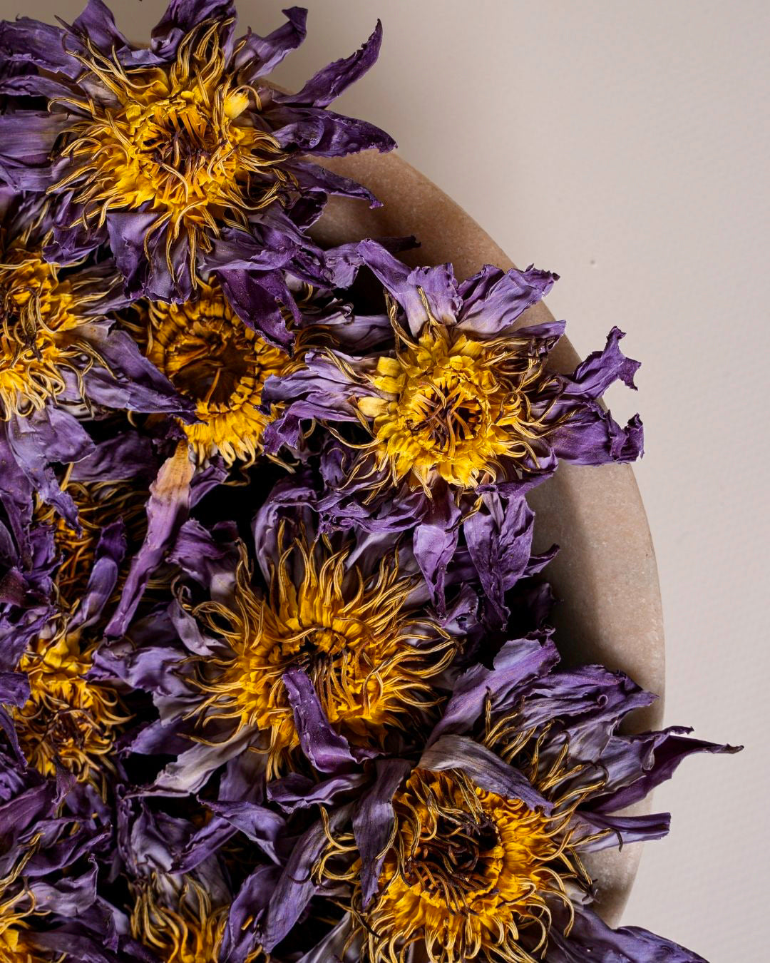 Organic Blue Lotus (Flowers)