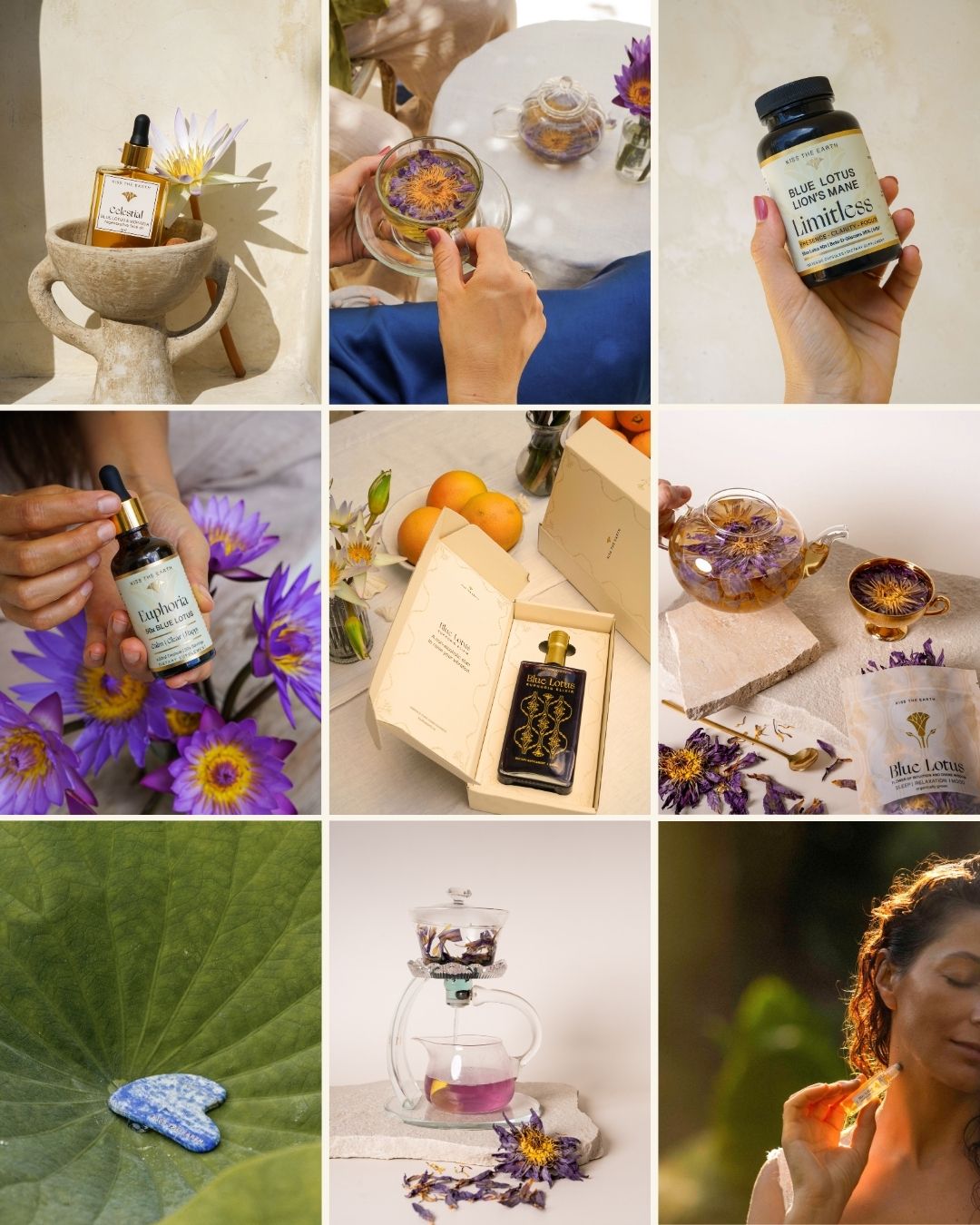 The Blue Lotus Experience Retreat